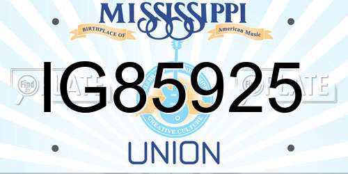 IG85925 Mississippi License Plate