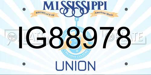 IG88978 Mississippi License Plate