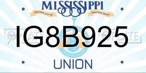 IG8B925 Mississippi License Plate