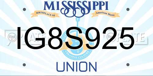 IG8S925 Mississippi License Plate
