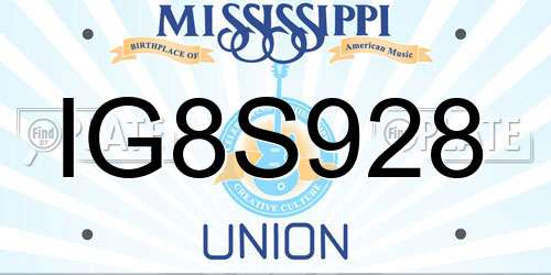 IG8S928 Mississippi License Plate