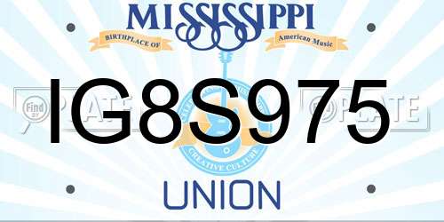 IG8S975 Mississippi License Plate