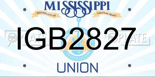 IGB2827 Mississippi License Plate