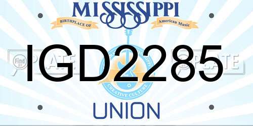 IGD2285 Mississippi License Plate