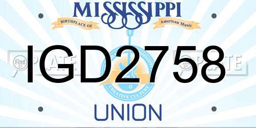 IGD2758 Mississippi License Plate