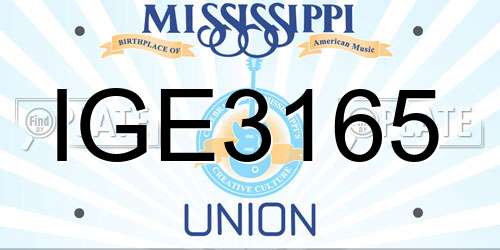 IGE3165 Mississippi License Plate
