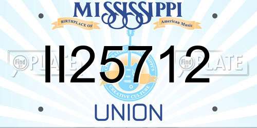 II25712 Mississippi License Plate
