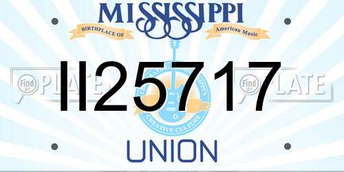 II25717 Mississippi License Plate