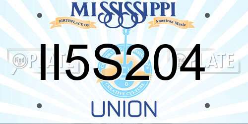 II5S204 Mississippi License Plate