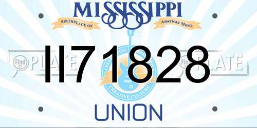 II71828 Mississippi License Plate