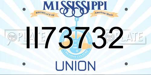 II73732 Mississippi License Plate