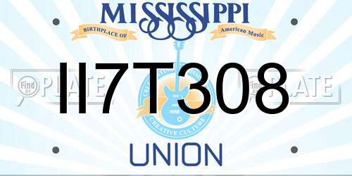 II7T308 Mississippi License Plate