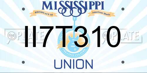 II7T310 Mississippi License Plate