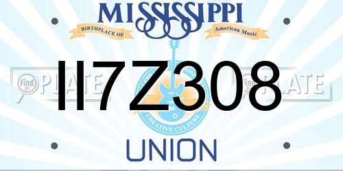 II7Z308 Mississippi License Plate