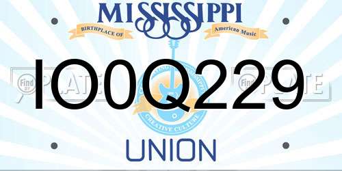 IO0Q229 Mississippi License Plate