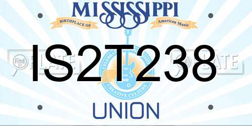 IS2T238 Mississippi License Plate
