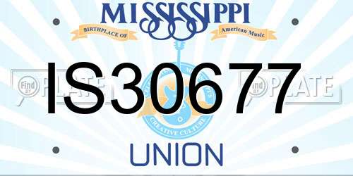 IS30677 Mississippi License Plate