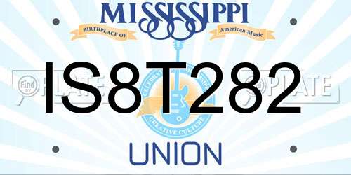 IS8T282 Mississippi License Plate