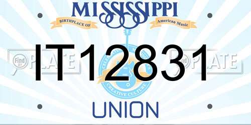 IT12831 Mississippi License Plate