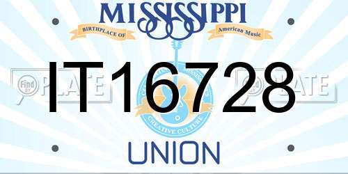 IT16728 Mississippi License Plate
