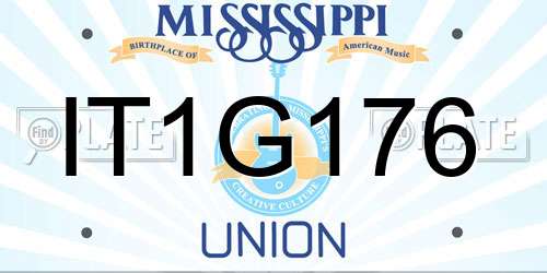 IT1G176 Mississippi License Plate