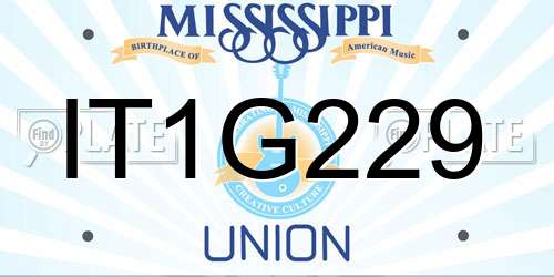 IT1G229 Mississippi License Plate