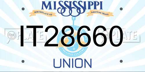 IT28660 Mississippi License Plate