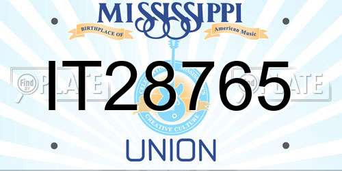 IT28765 Mississippi License Plate
