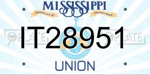 IT28951 Mississippi License Plate