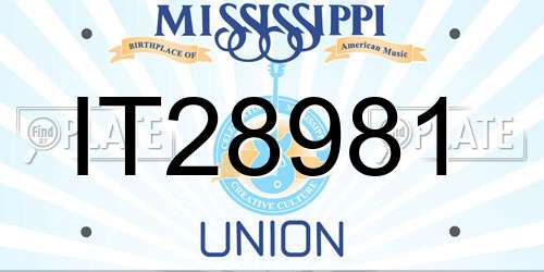 IT28981 Mississippi License Plate