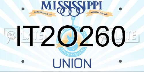 IT2O260 Mississippi License Plate
