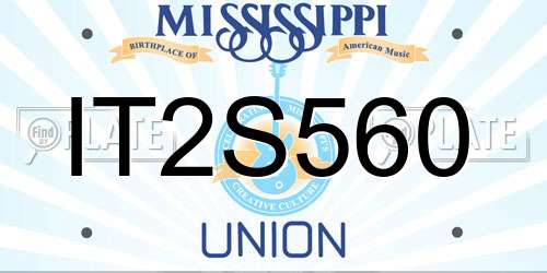 IT2S560 Mississippi License Plate