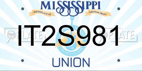 IT2S981 Mississippi License Plate