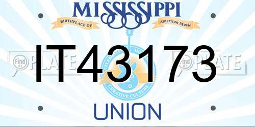 IT43173 Mississippi License Plate