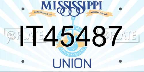 IT45487 Mississippi License Plate