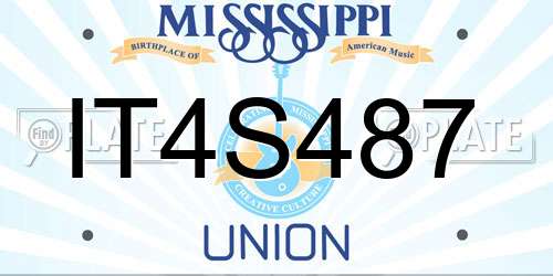 IT4S487 Mississippi License Plate