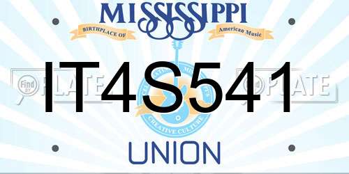 IT4S541 Mississippi License Plate