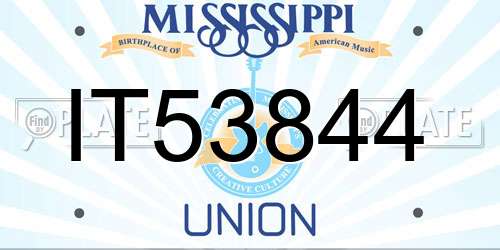 IT53844 Mississippi License Plate