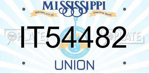 IT54482 Mississippi License Plate