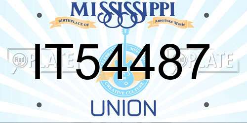IT54487 Mississippi License Plate