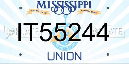 IT55244 Mississippi License Plate