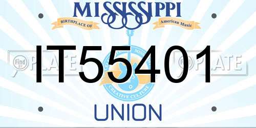 IT55401 Mississippi License Plate