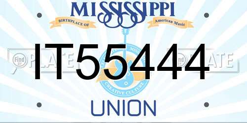 IT55444 Mississippi License Plate