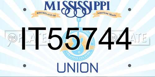 IT55744 Mississippi License Plate