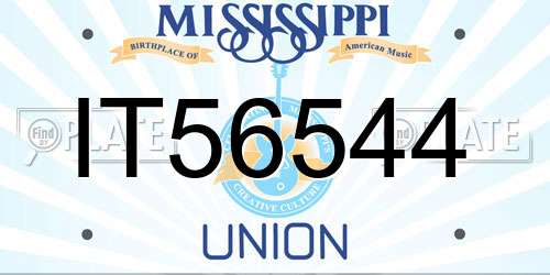 IT56544 Mississippi License Plate