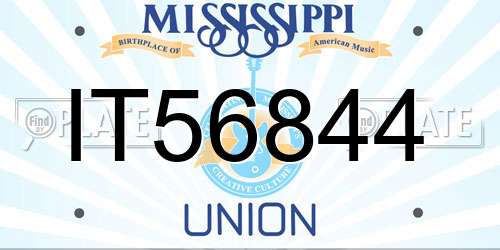 IT56844 Mississippi License Plate