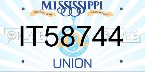 IT58744 Mississippi License Plate