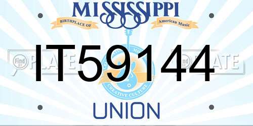IT59144 Mississippi License Plate