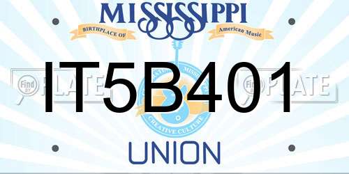 IT5B401 Mississippi License Plate