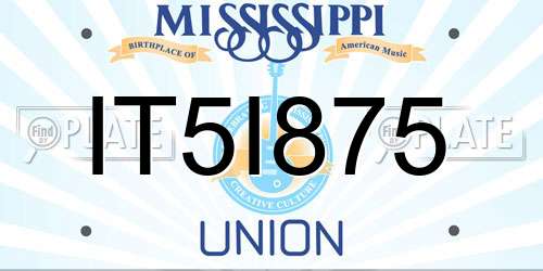 IT5I875 Mississippi License Plate
